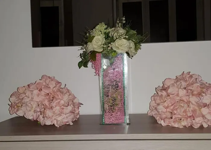 Belvedere Bed & Breakfast *