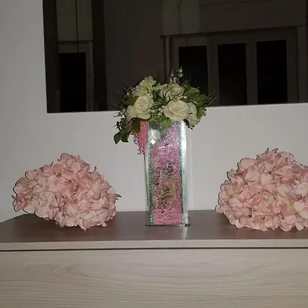 Belvedere 住宿加早餐酒店 *