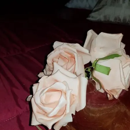 Belvedere 那不勒斯